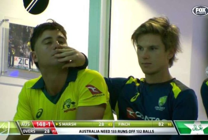 Adam Zampa, Marcus Stoinis